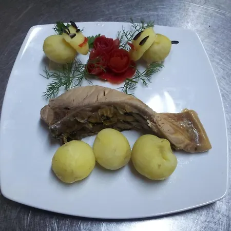 Guest house Casa Sibiana Sulina